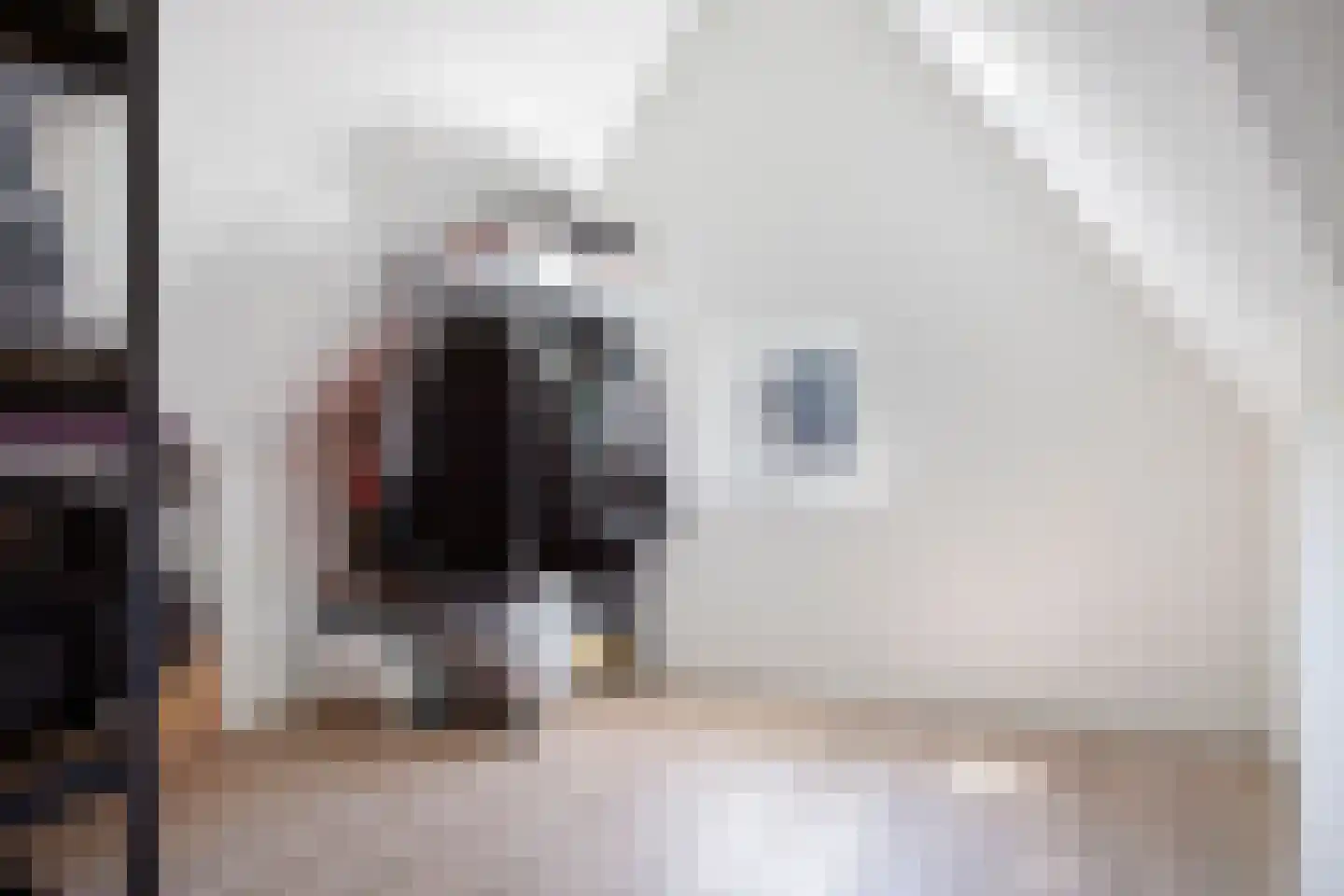 Spuifront 48 Oud-Beijerland thumbnail 46