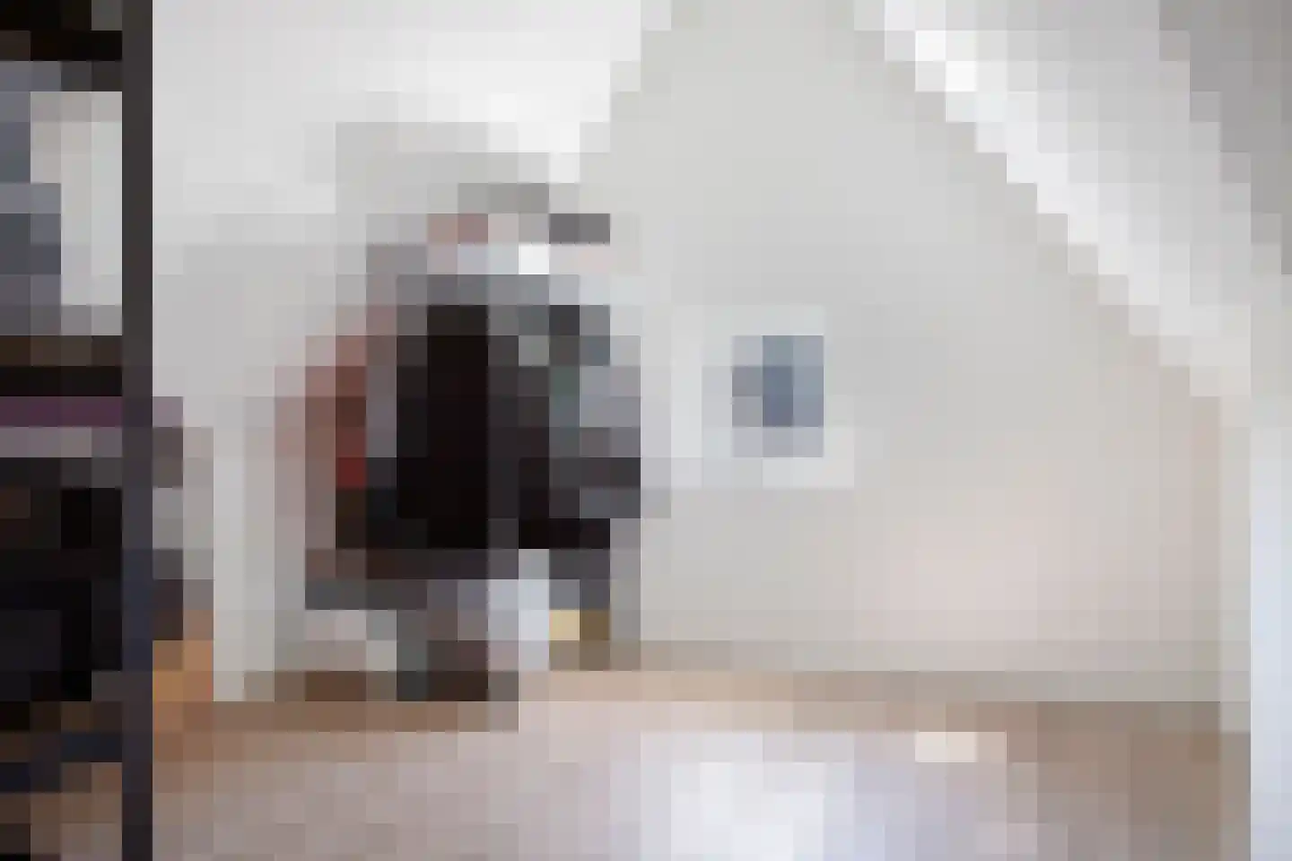 Spuifront 48 Oud-Beijerland thumbnail 46