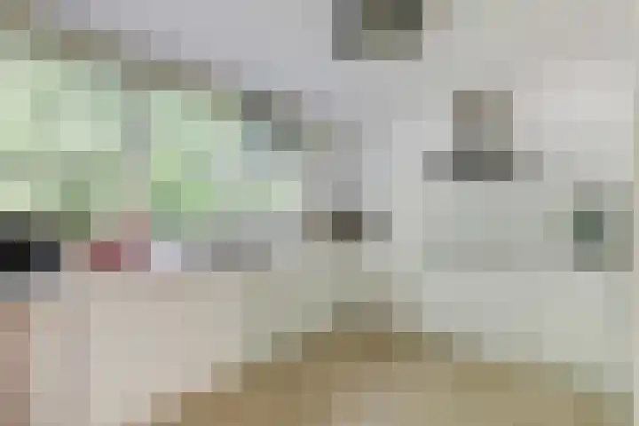 Spuihof 3 's-Gravendeel thumbnail 12