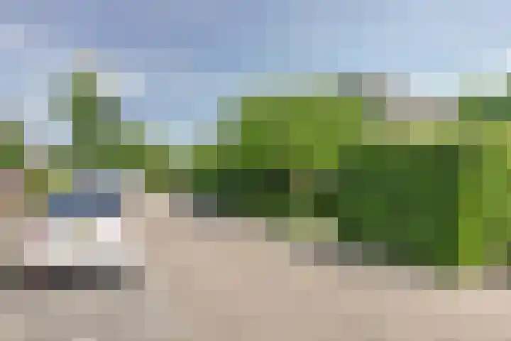 Spuihof 3 's-Gravendeel thumbnail 26