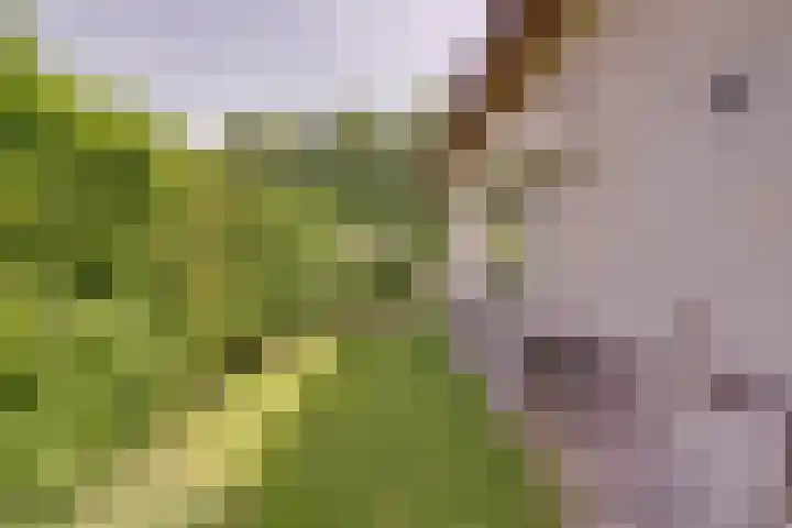 Spuihof 3 's-Gravendeel thumbnail 28