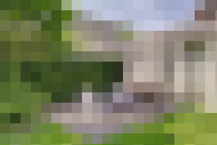 Spuihof 3 's-Gravendeel thumbnail 29