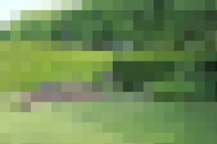 Spuihof 3 's-Gravendeel thumbnail 31