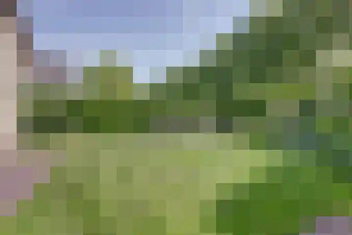 Spuihof 3 's-Gravendeel thumbnail 32