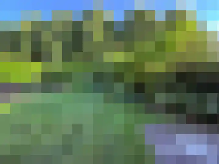 Spuihof 3 's-Gravendeel thumbnail 33