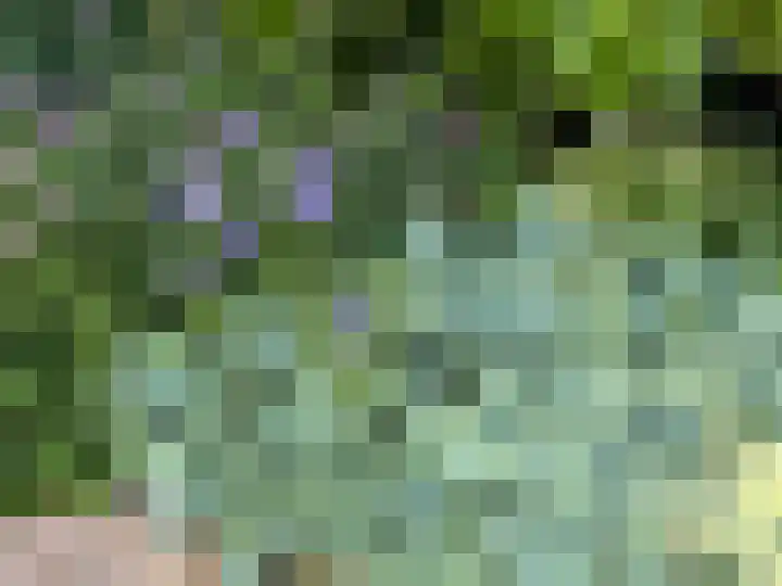 Spuihof 3 's-Gravendeel thumbnail 37
