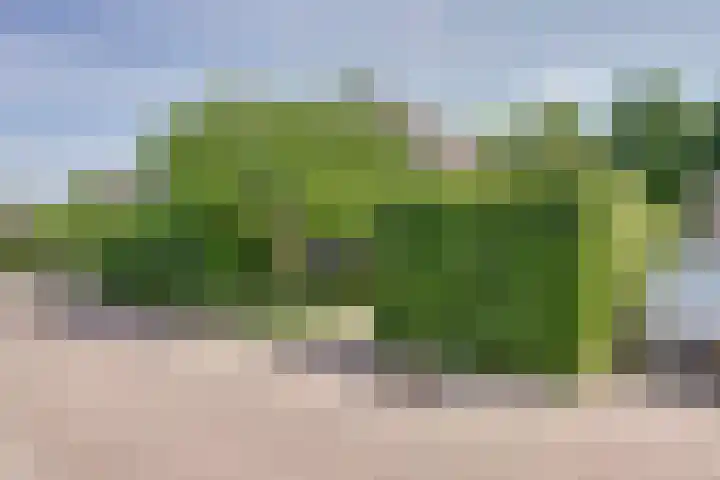 Spuihof 3 's-Gravendeel thumbnail 4