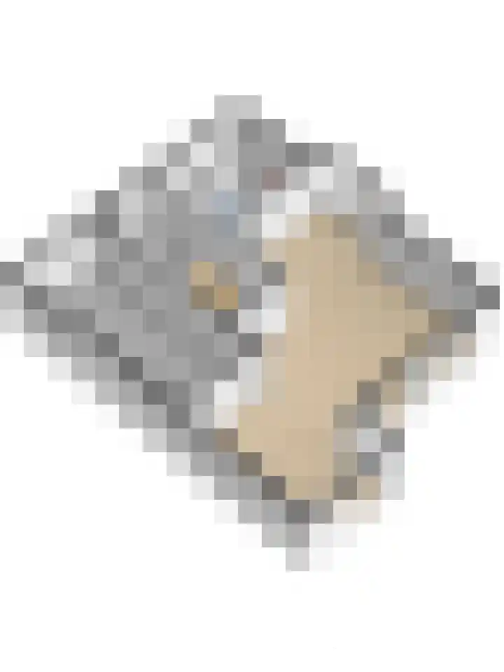 Spuihof 3 's-Gravendeel thumbnail 42