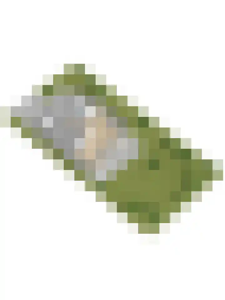 Spuihof 3 's-Gravendeel thumbnail 46