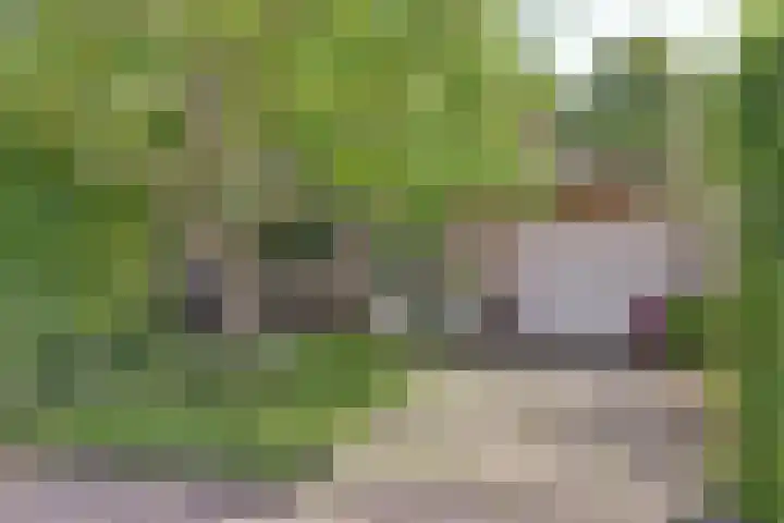 Spuihof 3 's-Gravendeel thumbnail 5