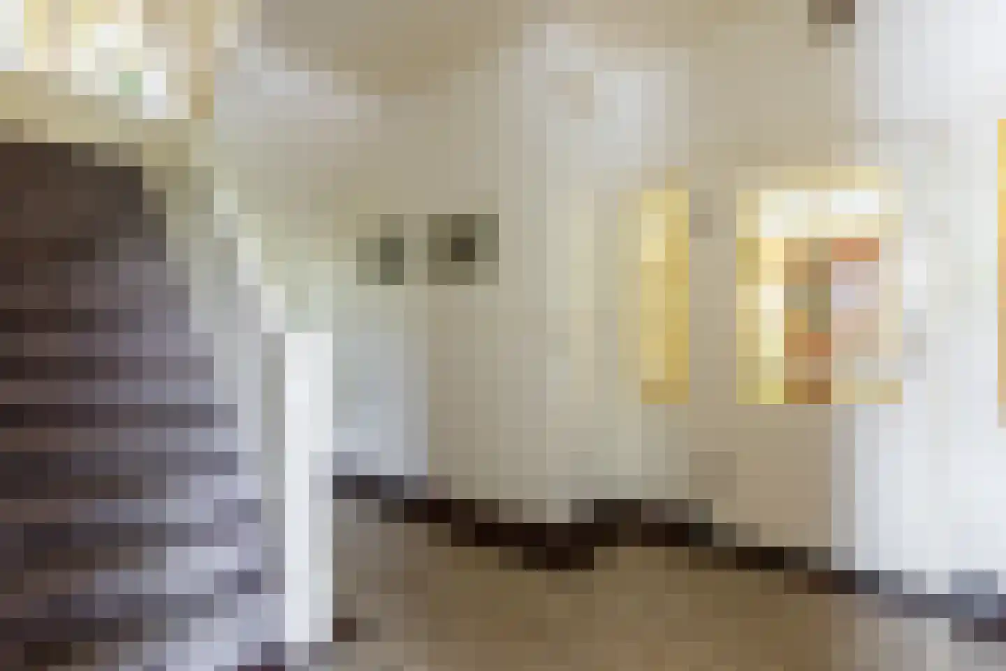 Spuikade 3 Geervliet thumbnail 17