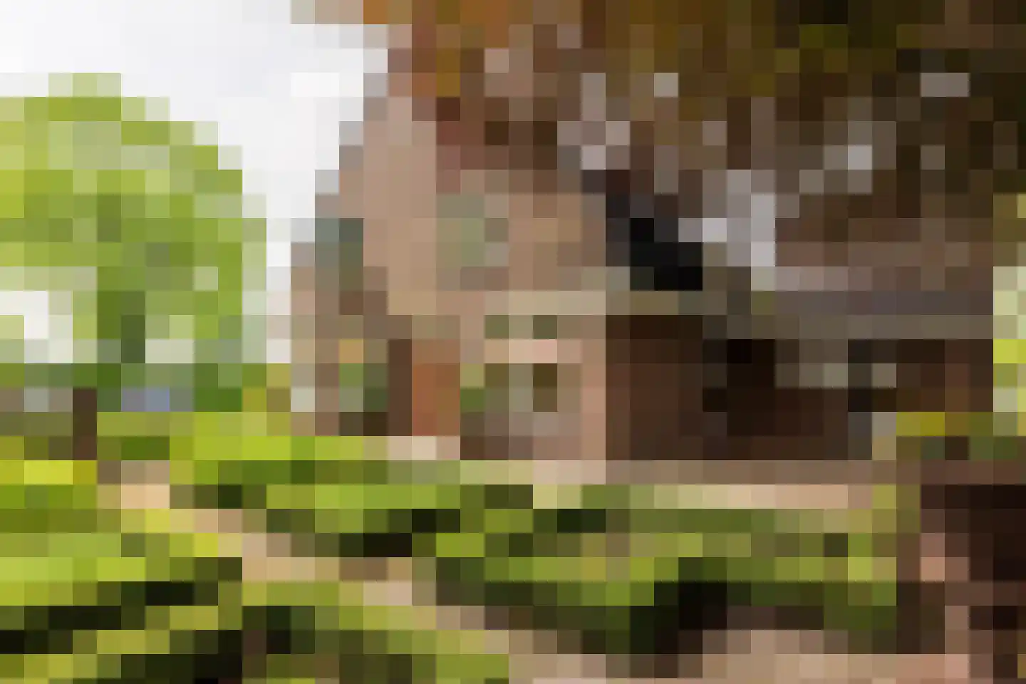 Spuikade 3 Geervliet thumbnail 43