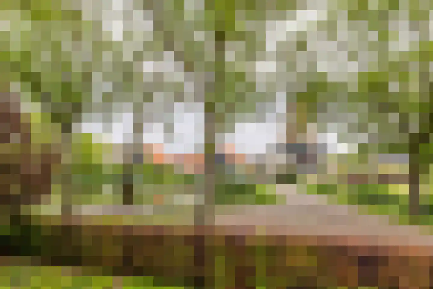 Spuikade 3 Geervliet thumbnail 61