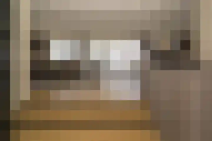 Spuilaan 2 Oudenbosch thumbnail 10