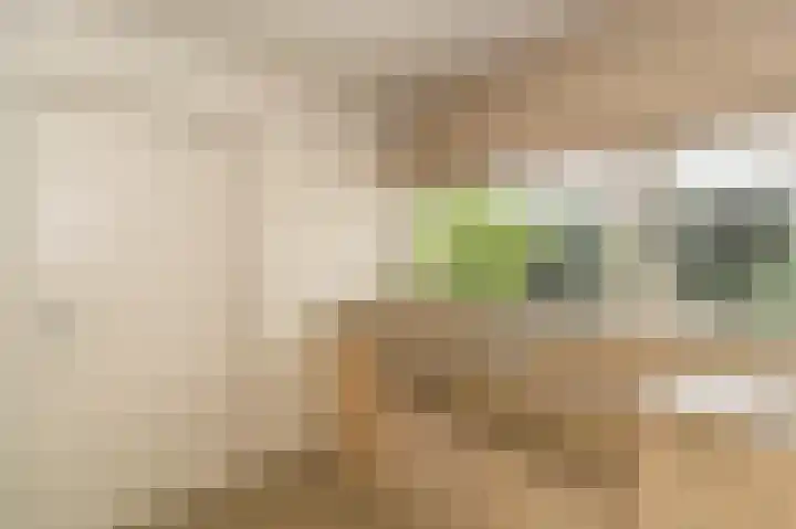 Spuilaan 2 Oudenbosch thumbnail 14