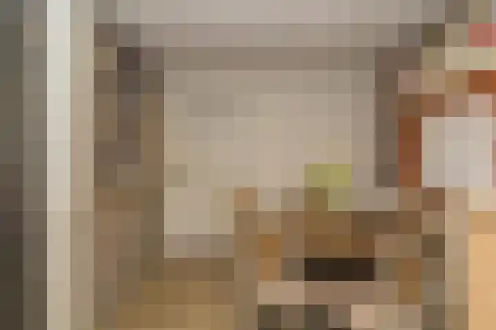 Spuilaan 2 Oudenbosch thumbnail 15
