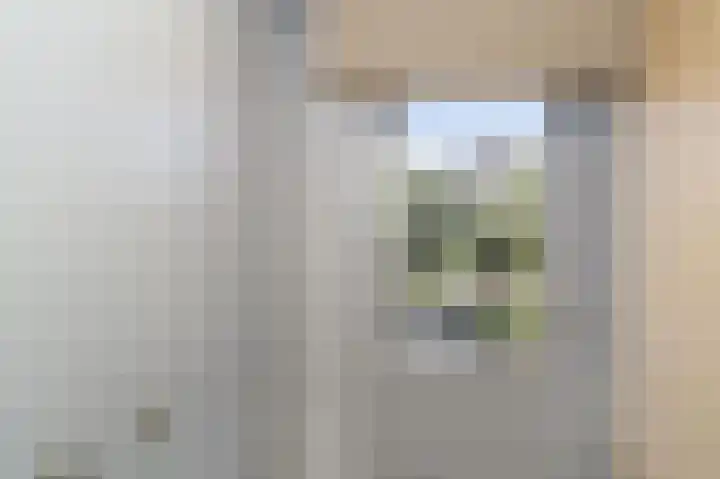 Spuilaan 2 Oudenbosch thumbnail 17