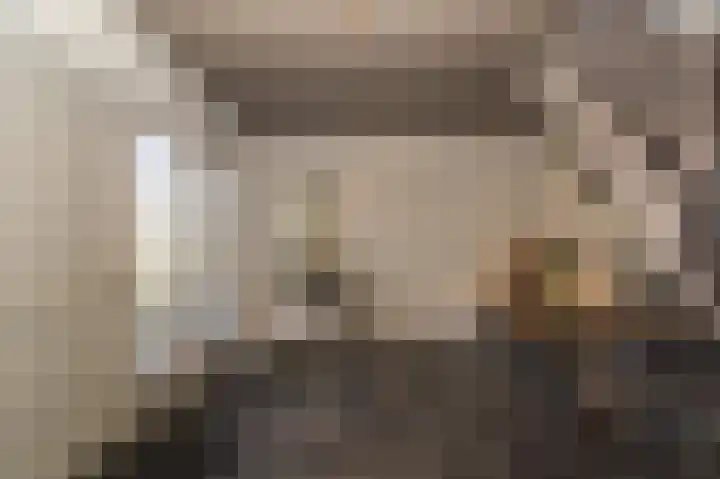 Spuilaan 2 Oudenbosch thumbnail 19