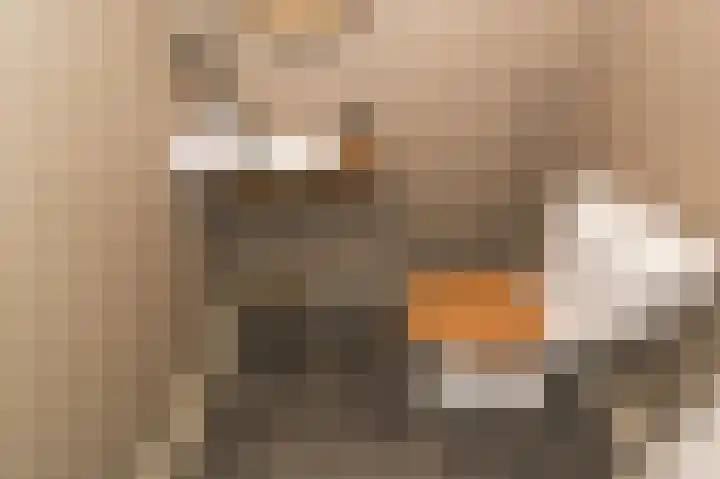Spuilaan 2 Oudenbosch thumbnail 20
