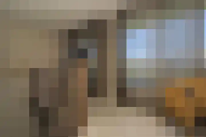 Spuilaan 2 Oudenbosch thumbnail 21