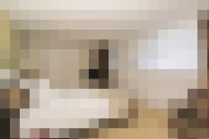 Spuilaan 2 Oudenbosch thumbnail 23