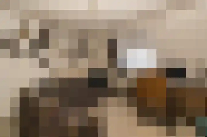 Spuilaan 2 Oudenbosch thumbnail 25
