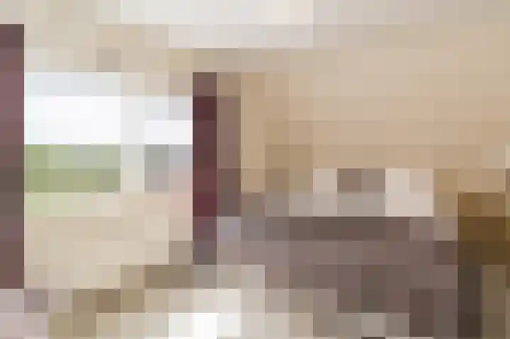 Spuilaan 2 Oudenbosch thumbnail 27