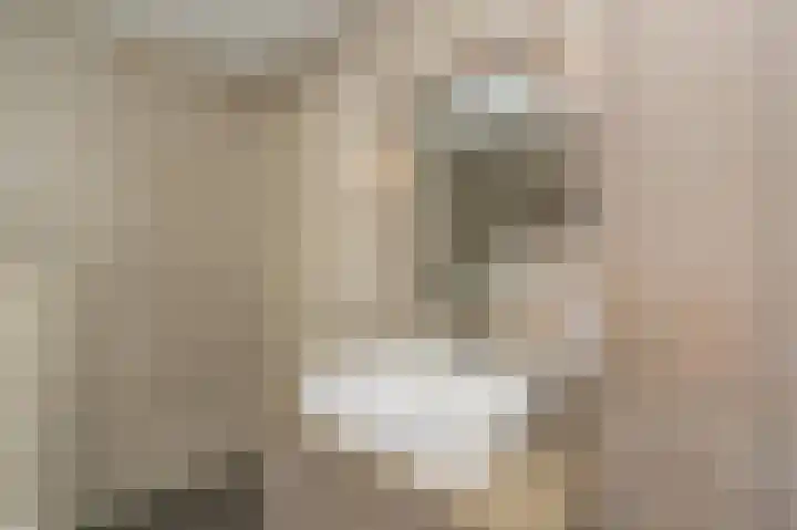 Spuilaan 2 Oudenbosch thumbnail 31