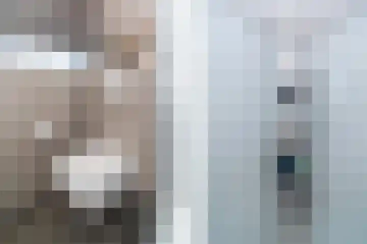 Spuilaan 2 Oudenbosch thumbnail 34