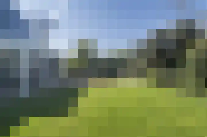 Spuilaan 2 Oudenbosch thumbnail 38