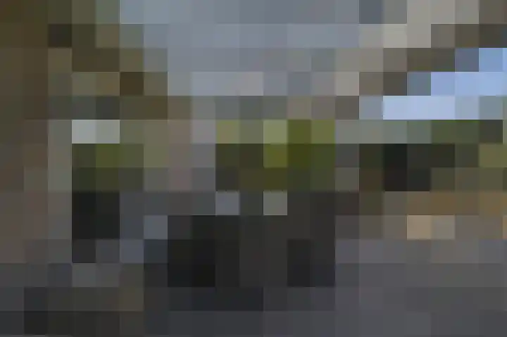 Spuilaan 2 Oudenbosch thumbnail 39