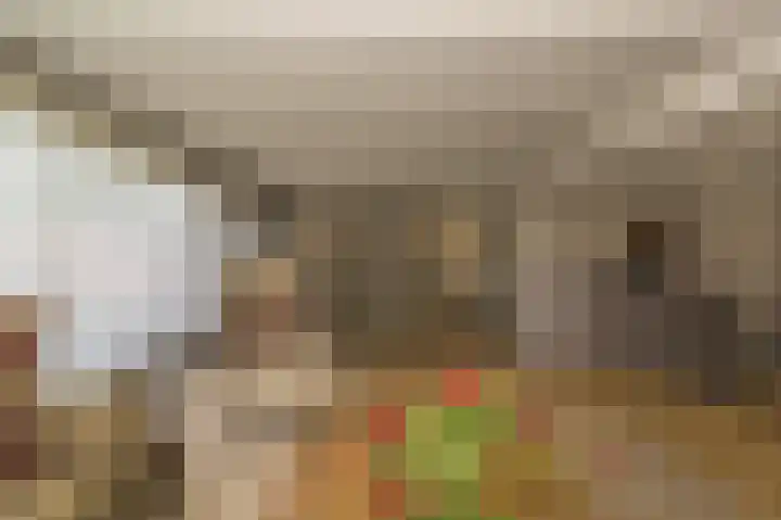 Spuilaan 2 Oudenbosch thumbnail 4