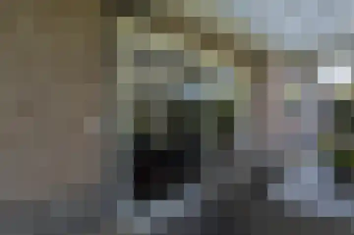 Spuilaan 2 Oudenbosch thumbnail 40