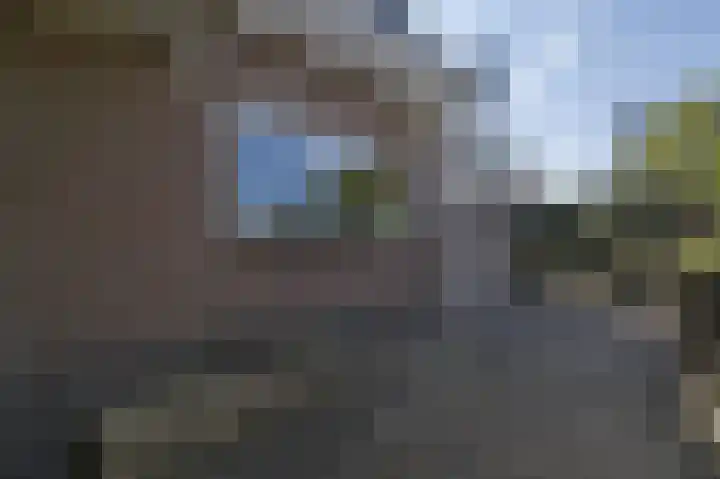 Spuilaan 2 Oudenbosch thumbnail 41