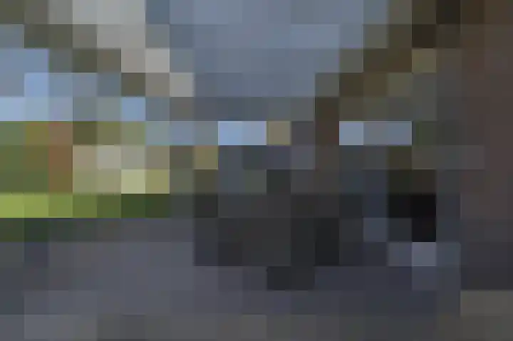 Spuilaan 2 Oudenbosch thumbnail 44