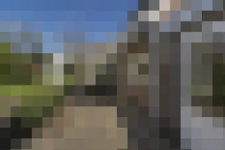 Spuilaan 2 Oudenbosch thumbnail 48