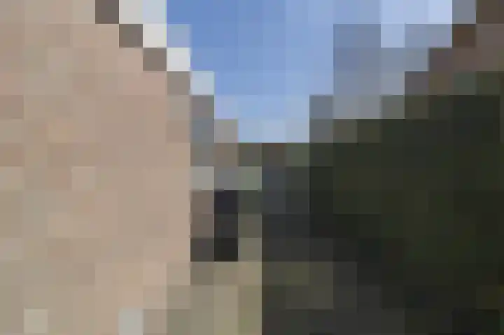 Spuilaan 2 Oudenbosch thumbnail 49