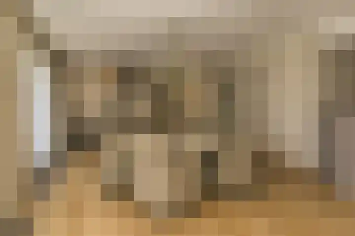 Spuilaan 2 Oudenbosch thumbnail 5