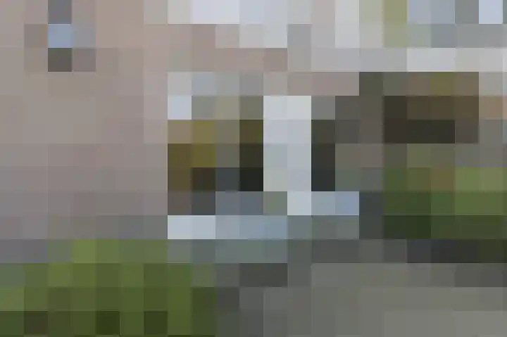 Spuilaan 2 Oudenbosch thumbnail 54