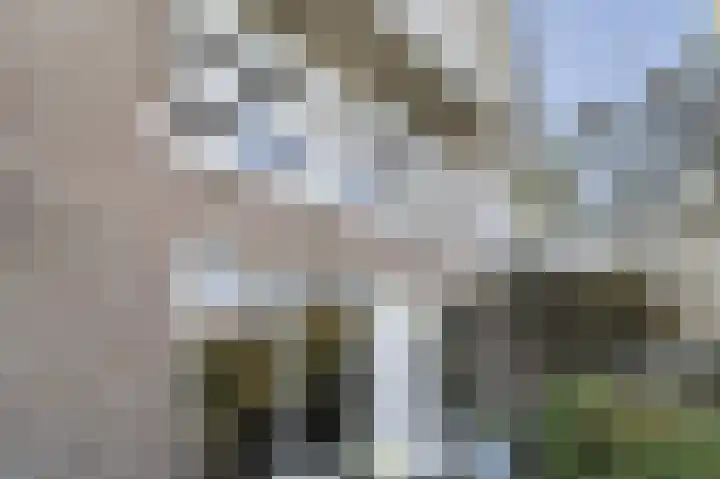 Spuilaan 2 Oudenbosch thumbnail 56