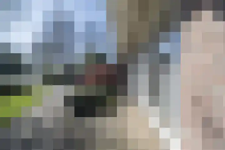 Spuilaan 2 Oudenbosch thumbnail 57