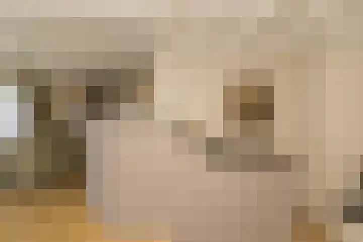 Spuilaan 2 Oudenbosch thumbnail 6
