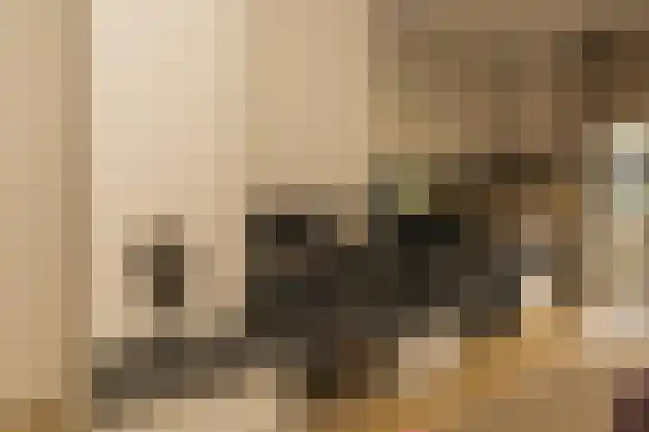 Spuilaan 2 Oudenbosch thumbnail 8