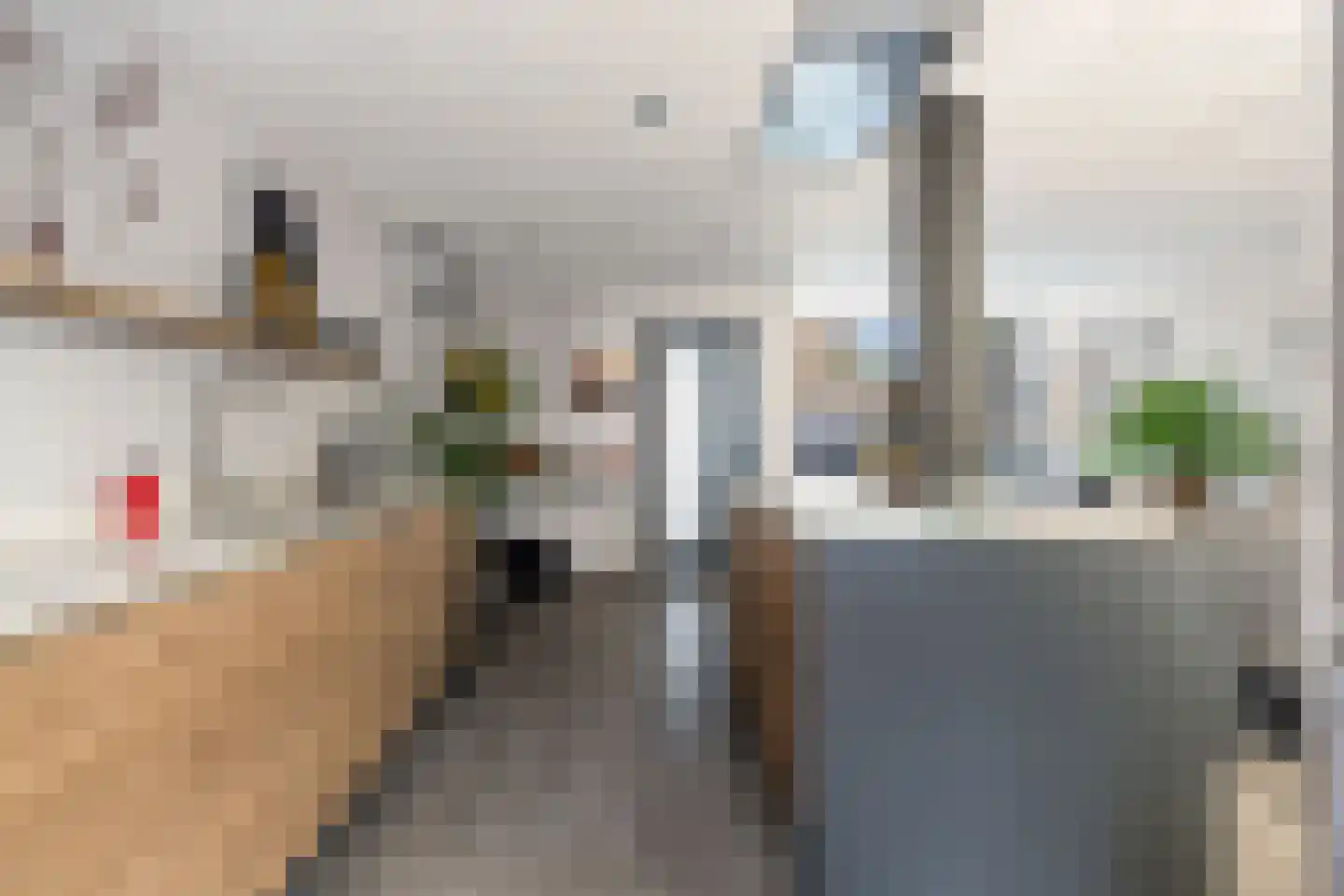 Spuilaan 226 Oudenbosch thumbnail 12