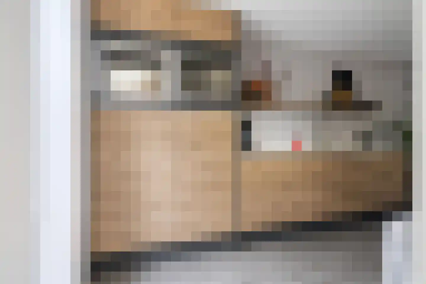 Spuilaan 226 Oudenbosch thumbnail 13