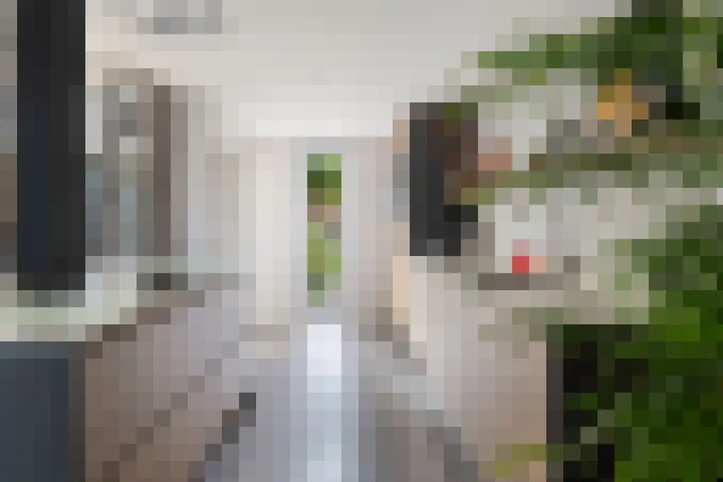 Spuilaan 226 Oudenbosch thumbnail 14