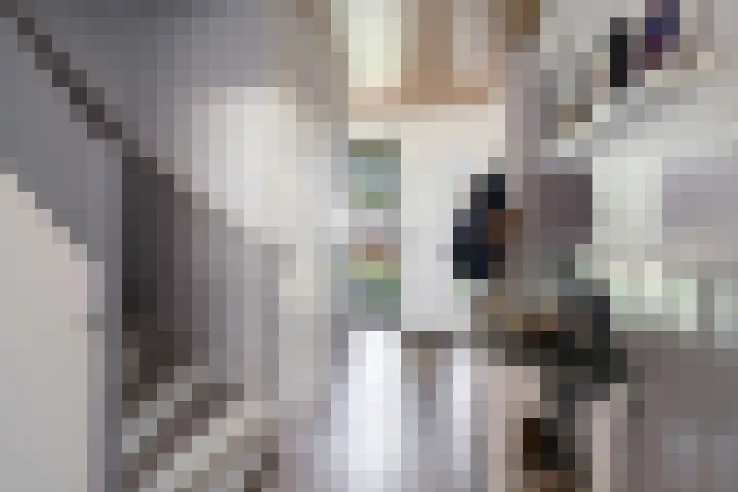 Spuilaan 226 Oudenbosch thumbnail 17