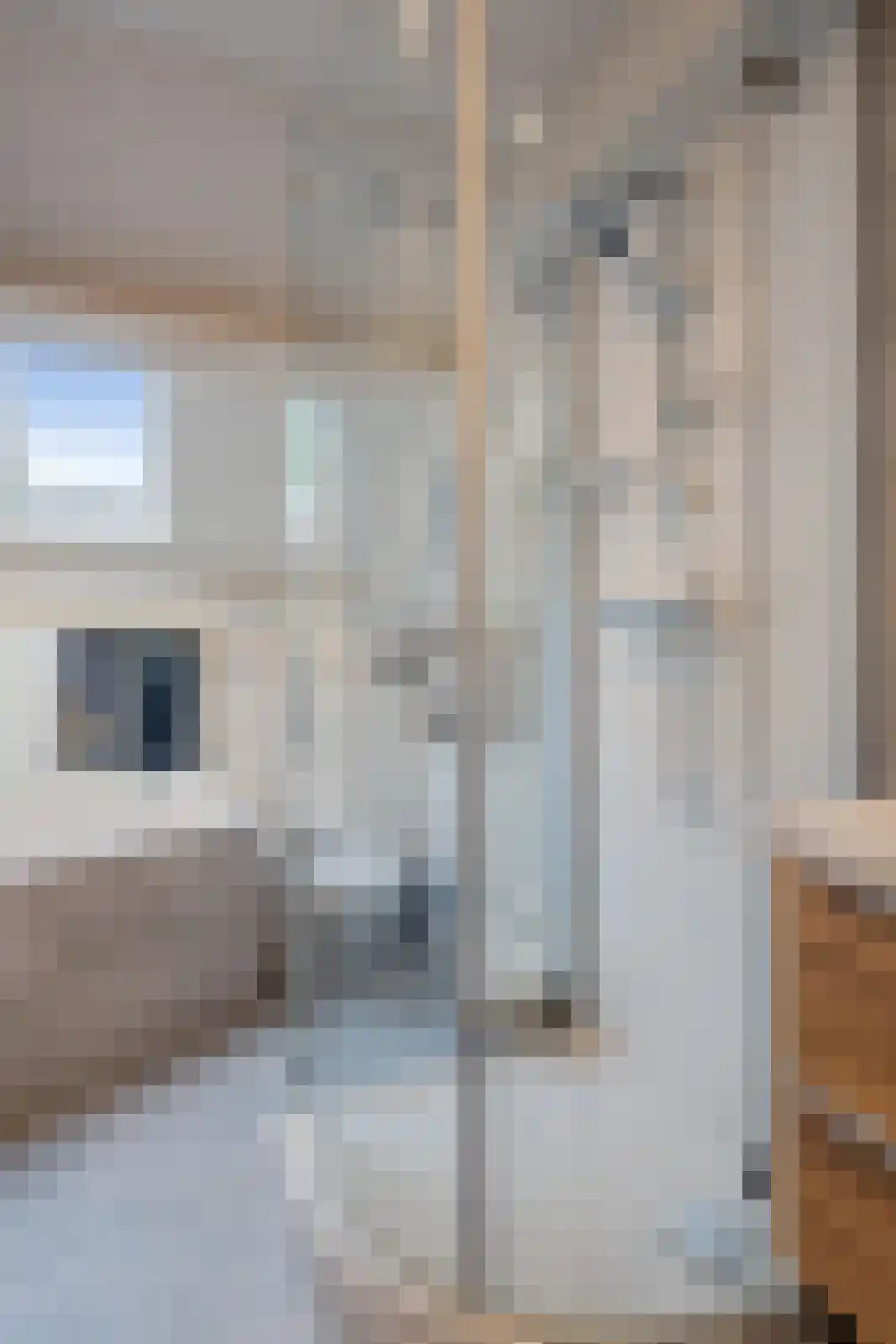 Spuilaan 226 Oudenbosch thumbnail 23