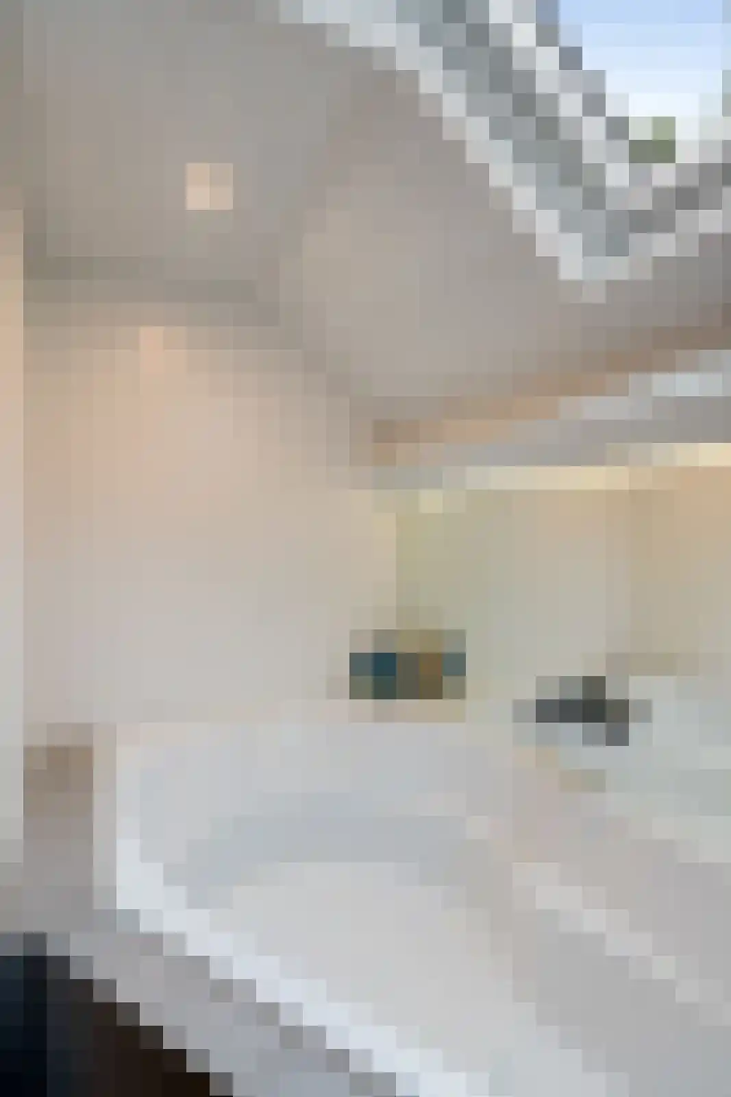Spuilaan 226 Oudenbosch thumbnail 24