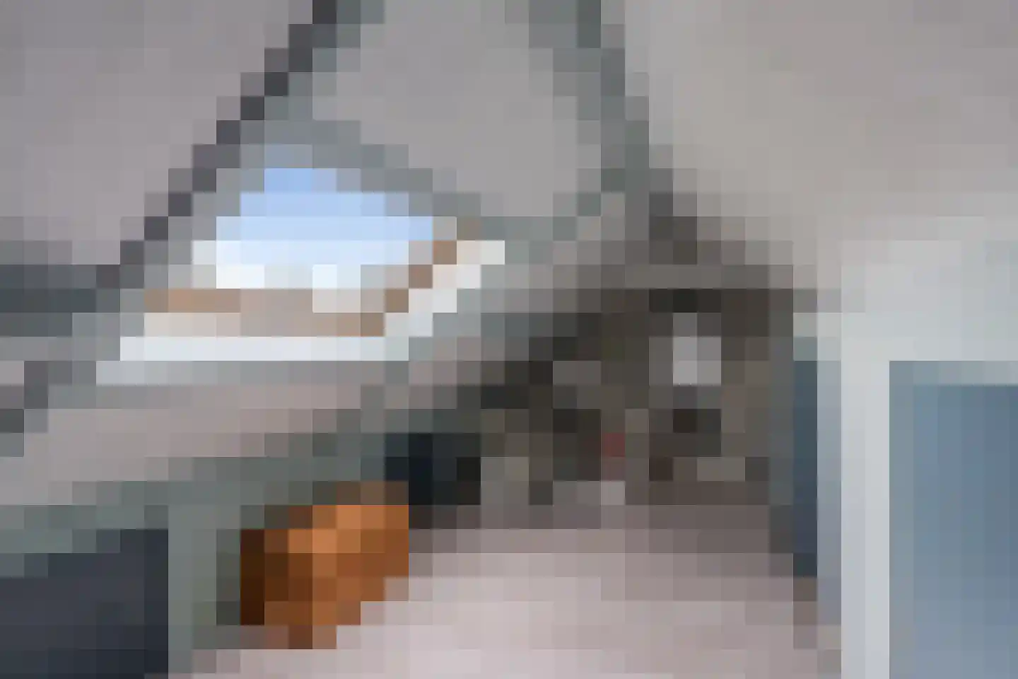 Spuilaan 226 Oudenbosch thumbnail 27